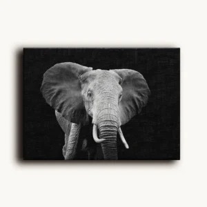 Tablou Canvas Profil Elefant African