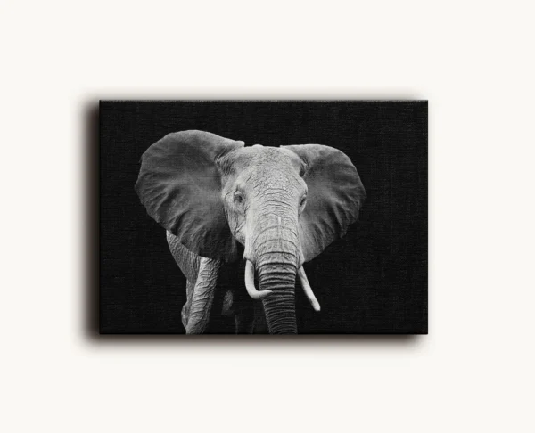 Tablou Canvas Profil Elefant African