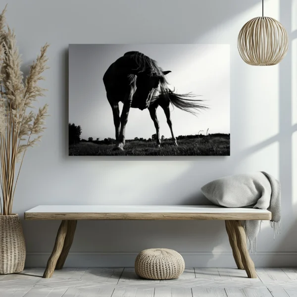 Tablou Canvas Cal Puternic Alb-Negru - Detaliu Tablou Canvas nr. 28651