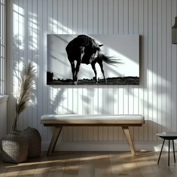 Tablou Canvas Cal Puternic Alb-Negru - Detaliu Tablou Canvas nr. 28652