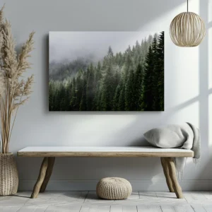Tablou Canvas Pădurea de Conifere - Detaliu Tablou Canvas nr. 21874