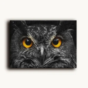 Tablou Canvas Portret Bufniță