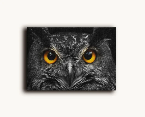 Tablou Canvas Portret Bufniță