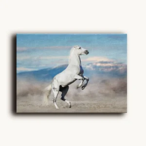 Tablou Canvas Cal Alb