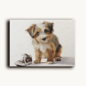 Tablou Canvas Cățeluș Naravaș - Detaliu Tablou Canvas nr. 27298
