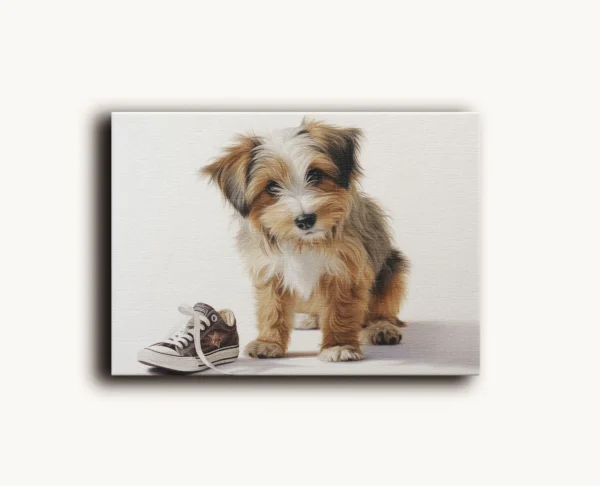 Tablou Canvas Cățeluș Naravaș - Detaliu Tablou Canvas nr. 27298