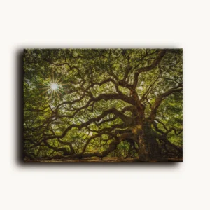 Tablou Canvas Copacul Antic