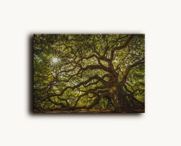 Tablou Canvas Copacul Antic