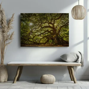 Tablou Canvas Copacul Antic - Detaliu Tablou Canvas nr. 21616