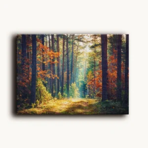 Tablou Canvas Alee Insolită