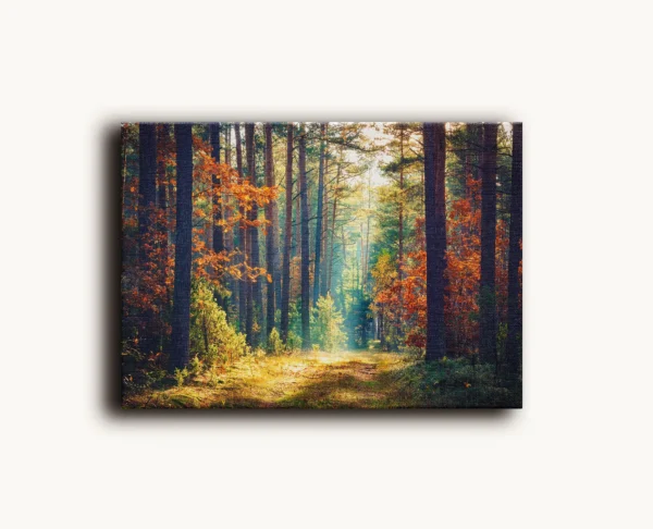 Tablou Canvas Alee Insolită