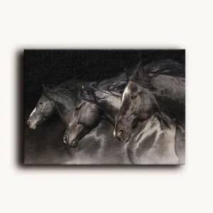 Tablou Canvas Turma de Cai