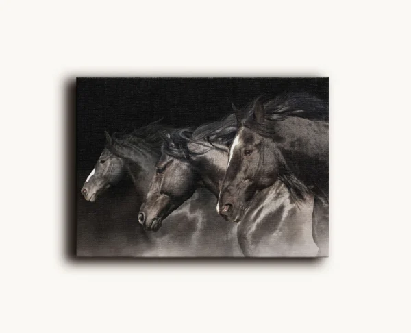 Tablou Canvas Turma de Cai