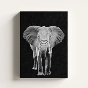 Tablou Canvas Elefant African