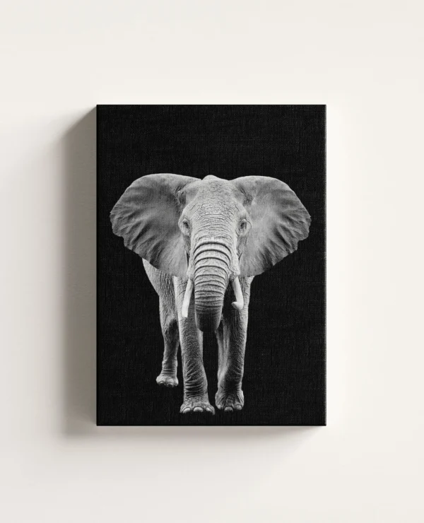 Tablou Canvas Elefant African