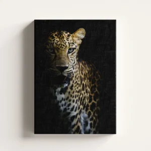 Tablou Canvas Leopard