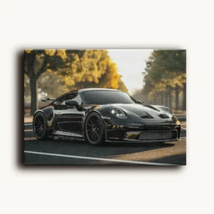 Tablou Canvas Porsche 911 GT3 Widebody