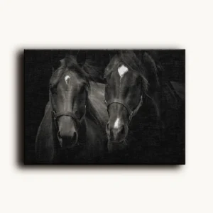 Tablou Canvas Doi Cai