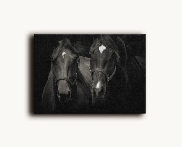 Tablou Canvas Doi Cai