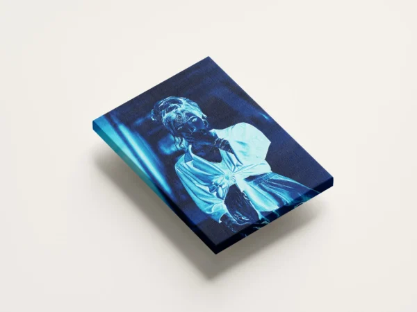Ghost Glow - Detaliu Tablou Canvas nr. 16634