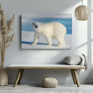 Tablou Canvas Urs Polar - Detaliu Tablou Canvas nr. 27562