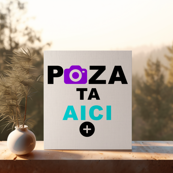 Personalizare Standard