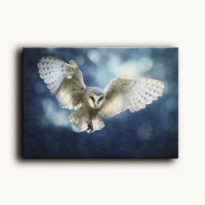 Tablou Canvas Tyto Albă