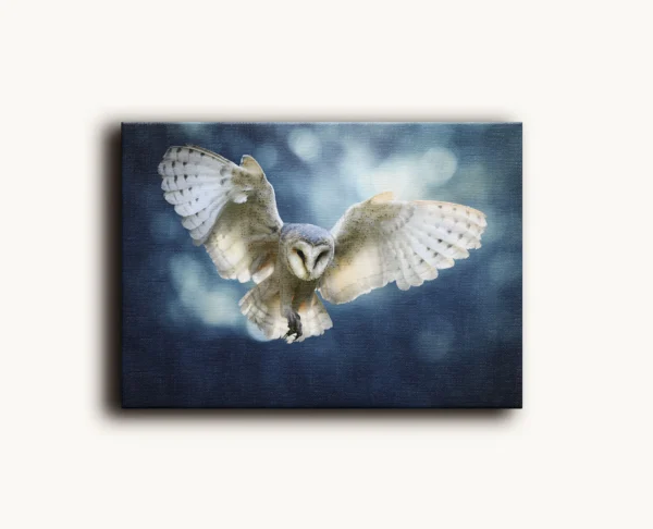 Tablou Canvas Tyto Albă