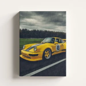Tablou Canvas Porsche 911 Carrera RSR