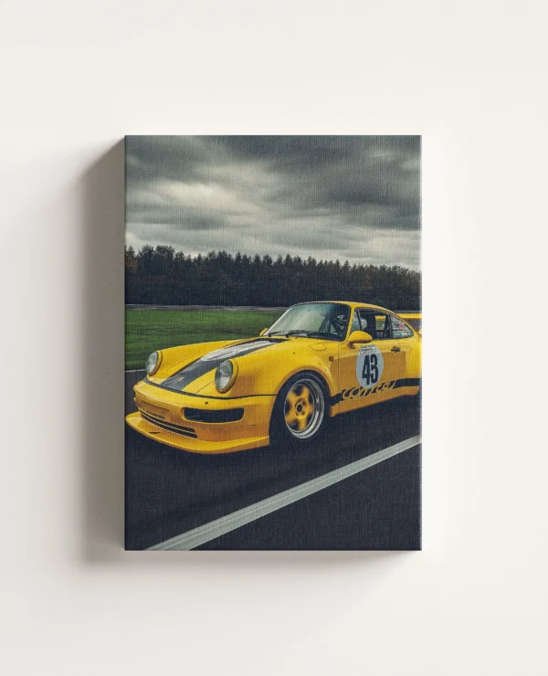 Tablou Canvas Porsche 911 Carrera RSR
