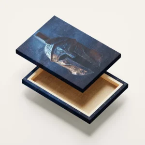 Tablou Canvas Spiritul Spartei - Detaliu Tablou Canvas nr. 21332