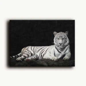 Tablou Canvas Tigru Alb