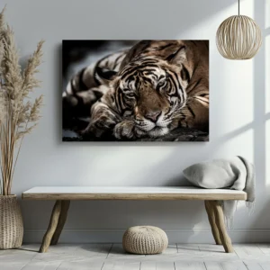 Tablou Canvas Tigru Bengalez - Detaliu Tablou Canvas nr. 28453