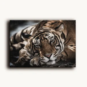 Tablou Canvas Tigru Bengalez