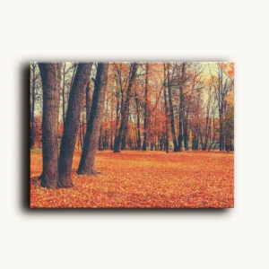 Tablou Canvas Toamna Aurie