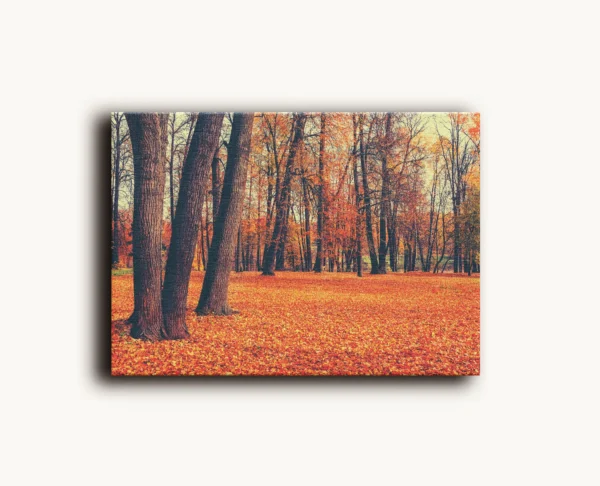 Tablou Canvas Toamna Aurie