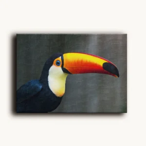 Tablou Canvas Tablou Canvas Tucan Toco