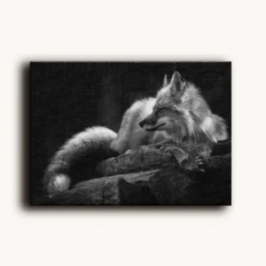 Tablou Canvas Vulpe