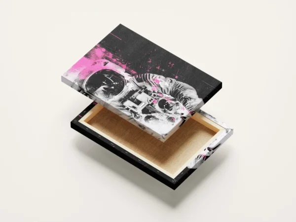 Tablou Canvas Pink Voyager - Detaliu Tablou Canvas nr. 21368