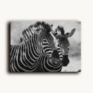 Tablou Canvas Perechea de Zebre